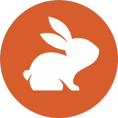 CodeRabbit